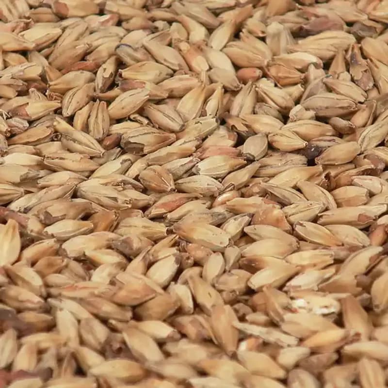 Biscuit Malt