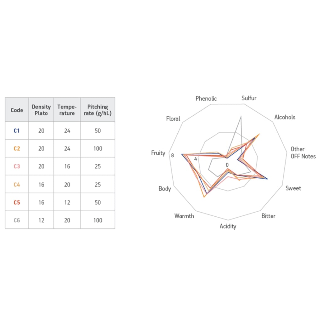 SafAle BE-256 11,5g