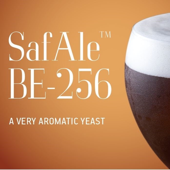 SafAle BE-256 11,5g