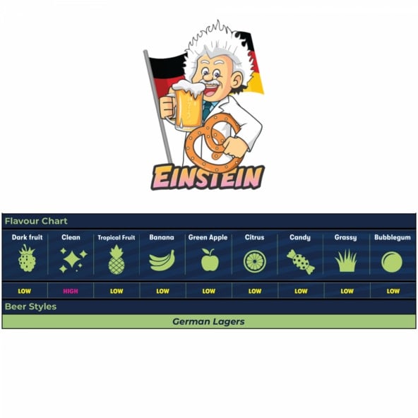 Einstein 11 g