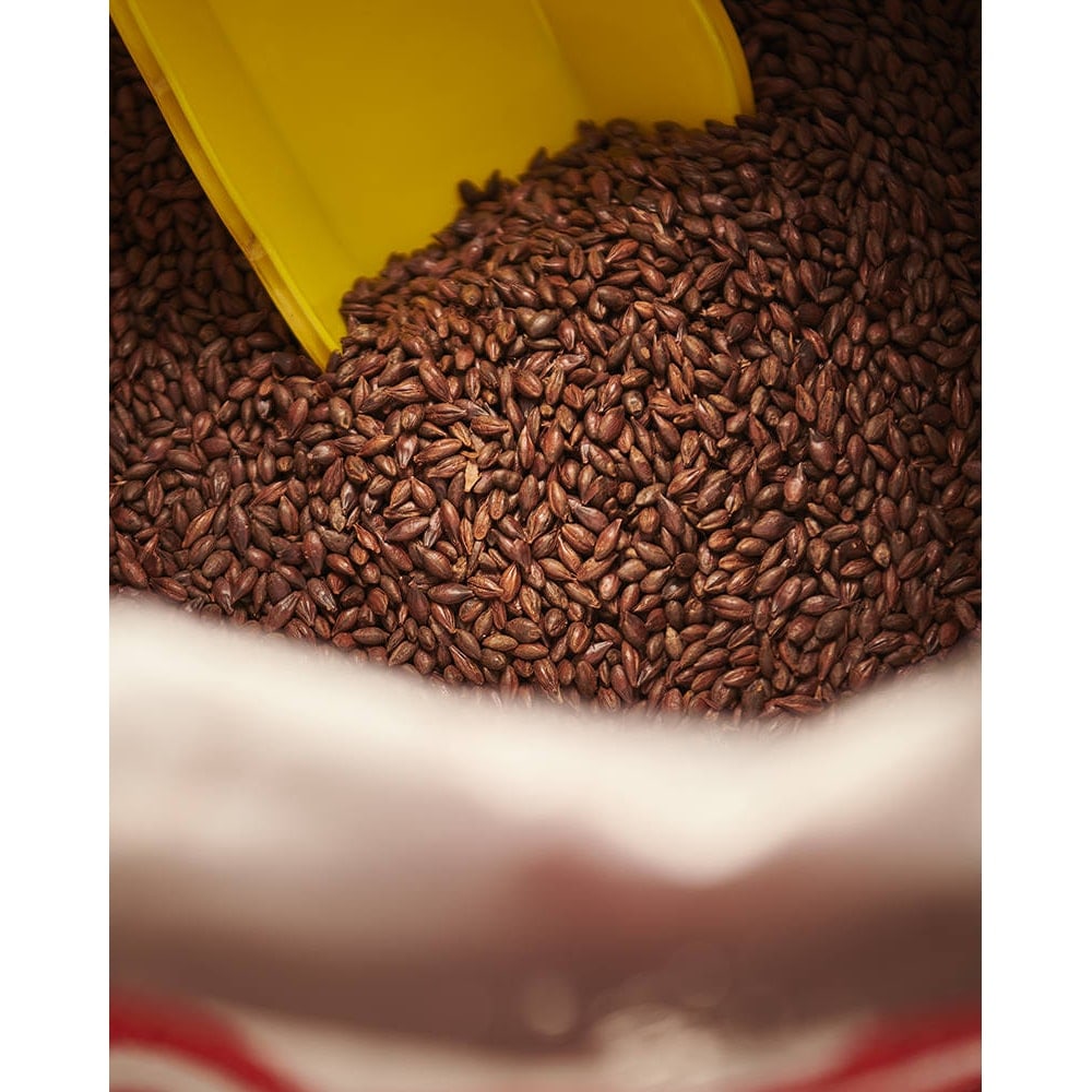 Carafa Special II