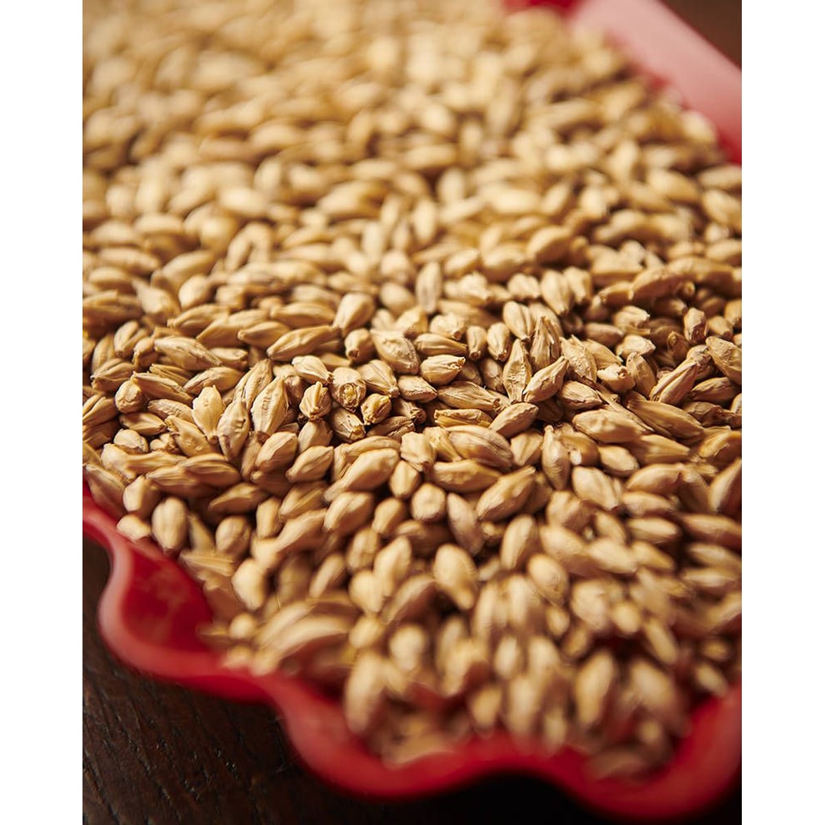 Munich Malt Type 1