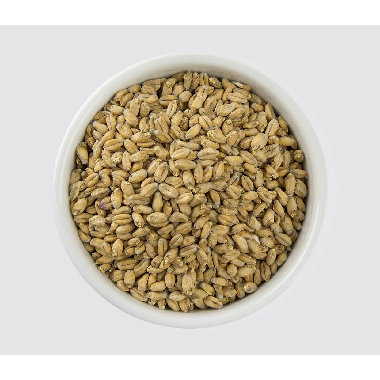 Wheat malt
