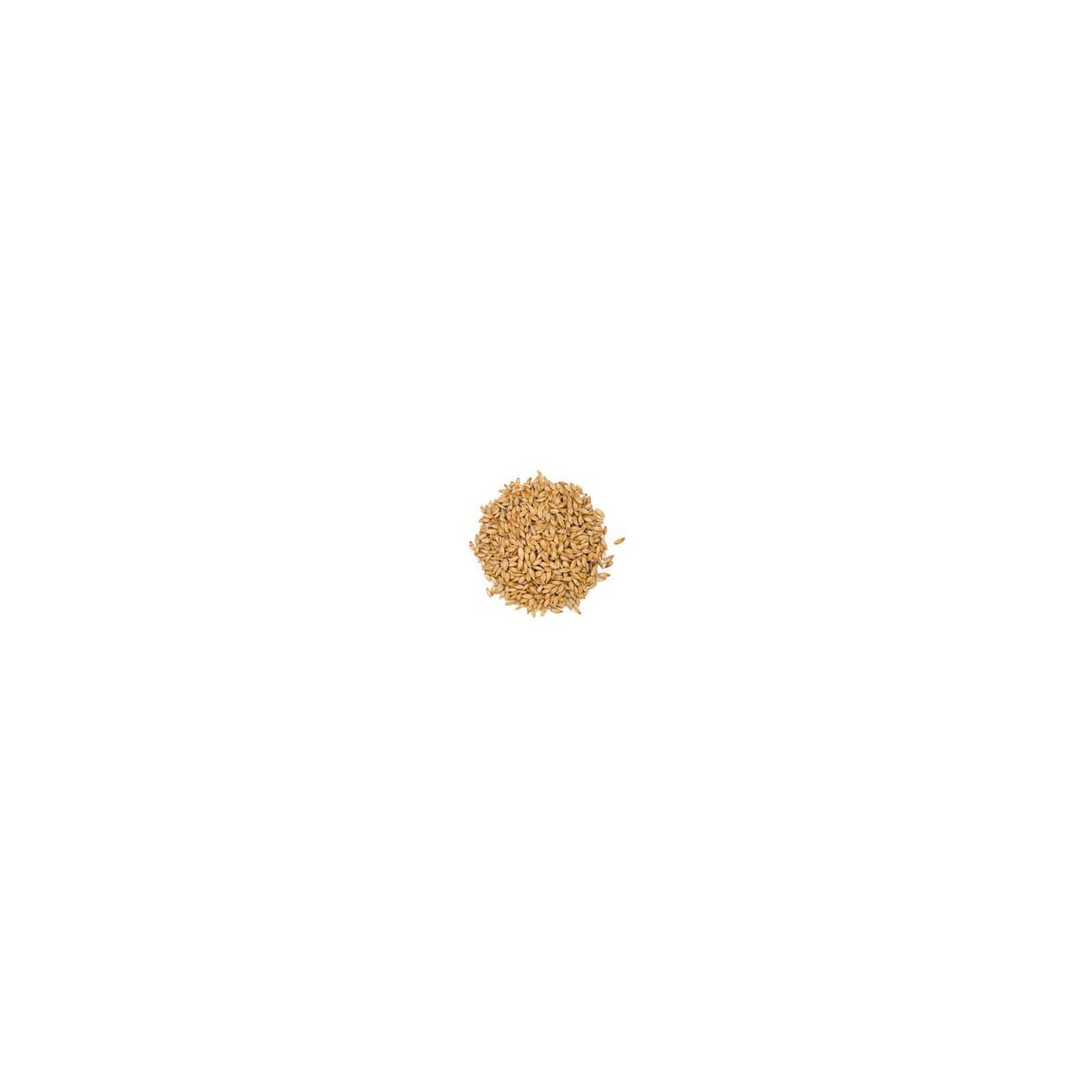 Golden Ale