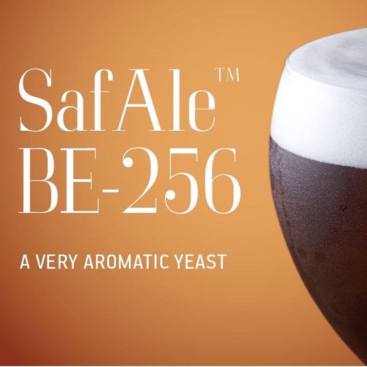 SafAle BE-256 11,5g