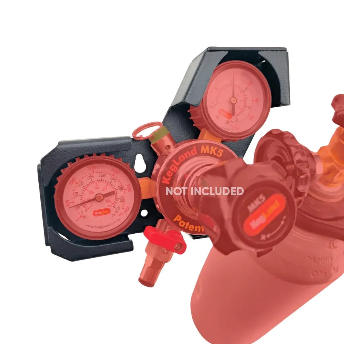 Gauge Guard for MK5 Regulator