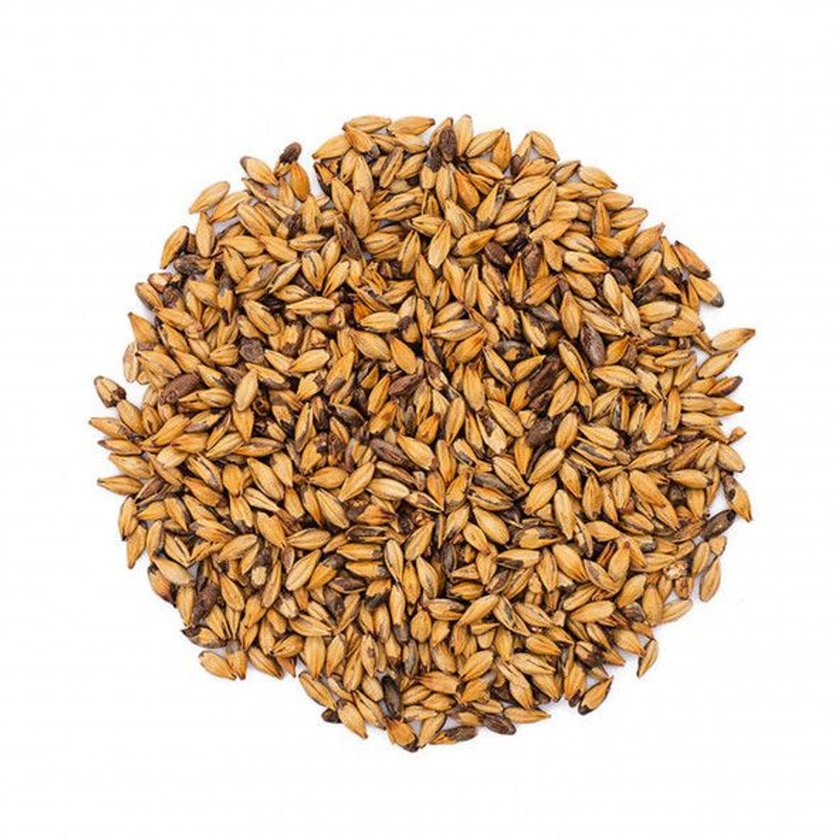 Special B malt (300 EBC)