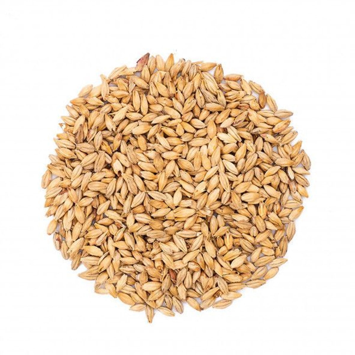 Munich light malt