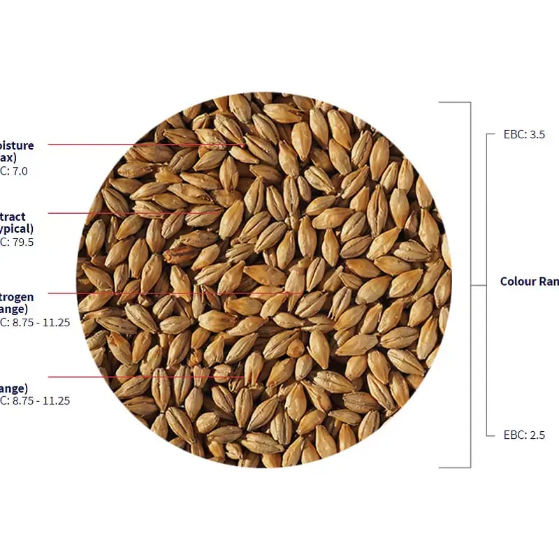 Dextrin malt (2-3,5 EBC)