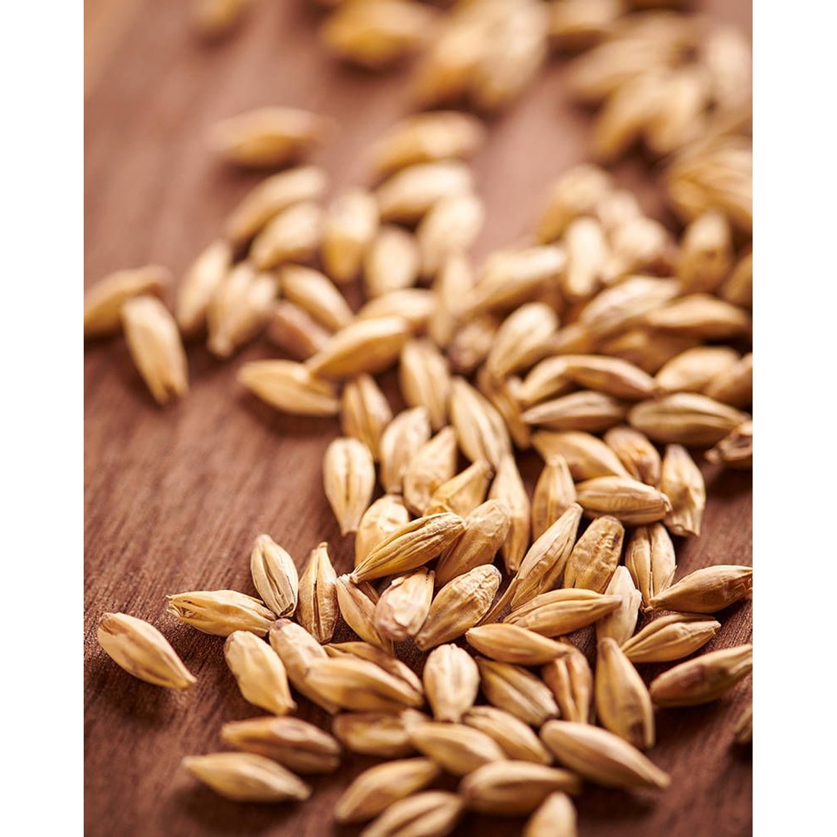 Abbey malt (40-50 EBC)