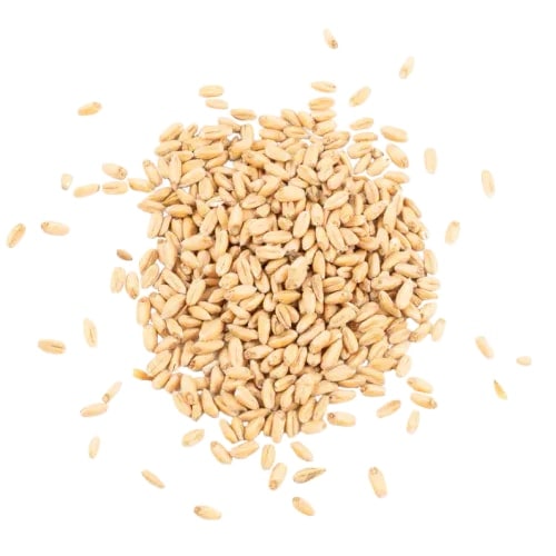 Oatmalt