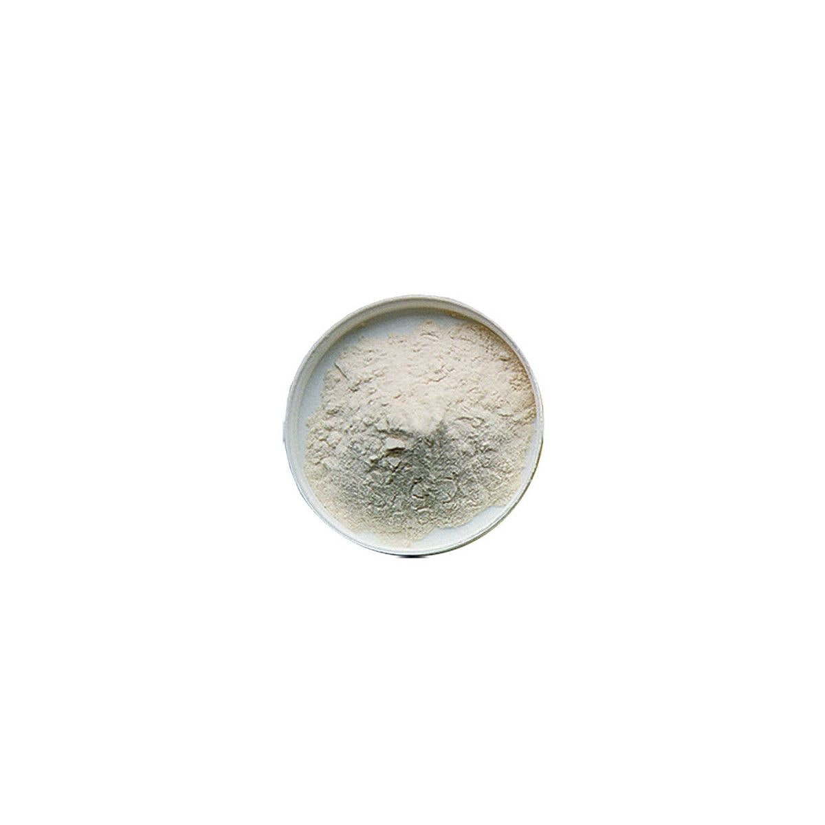 Spraymalt light, 1 kg