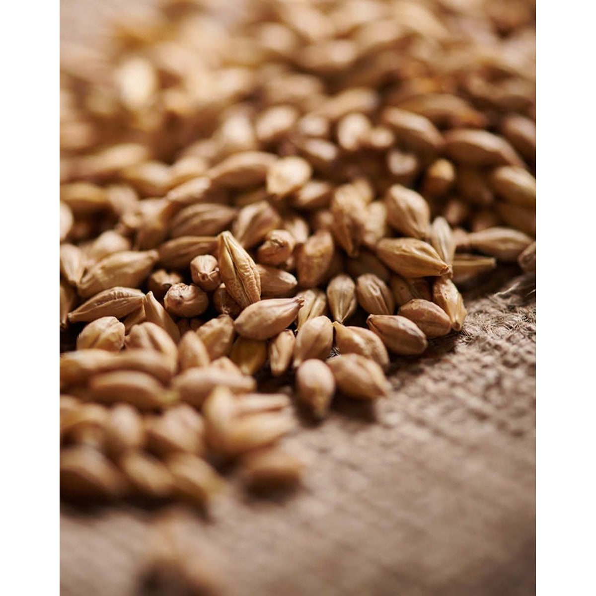 Acidulated malt