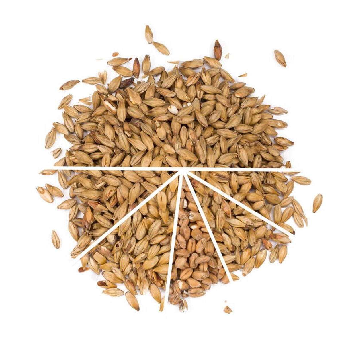 APA/IPA - Allgrain