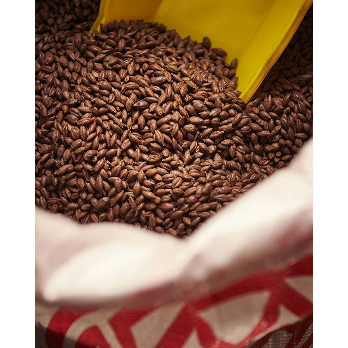 Carafa® Special Type 3