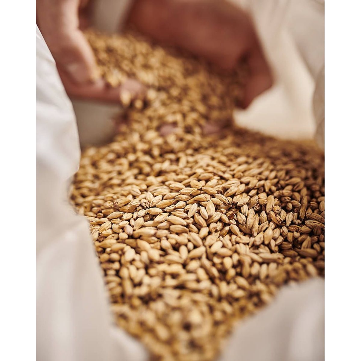 Barke® Munich Malt